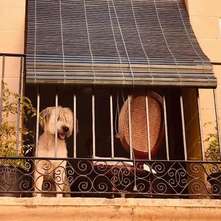 Holiday Calle Pilar بيت للعطل Belmonte de Mezquin